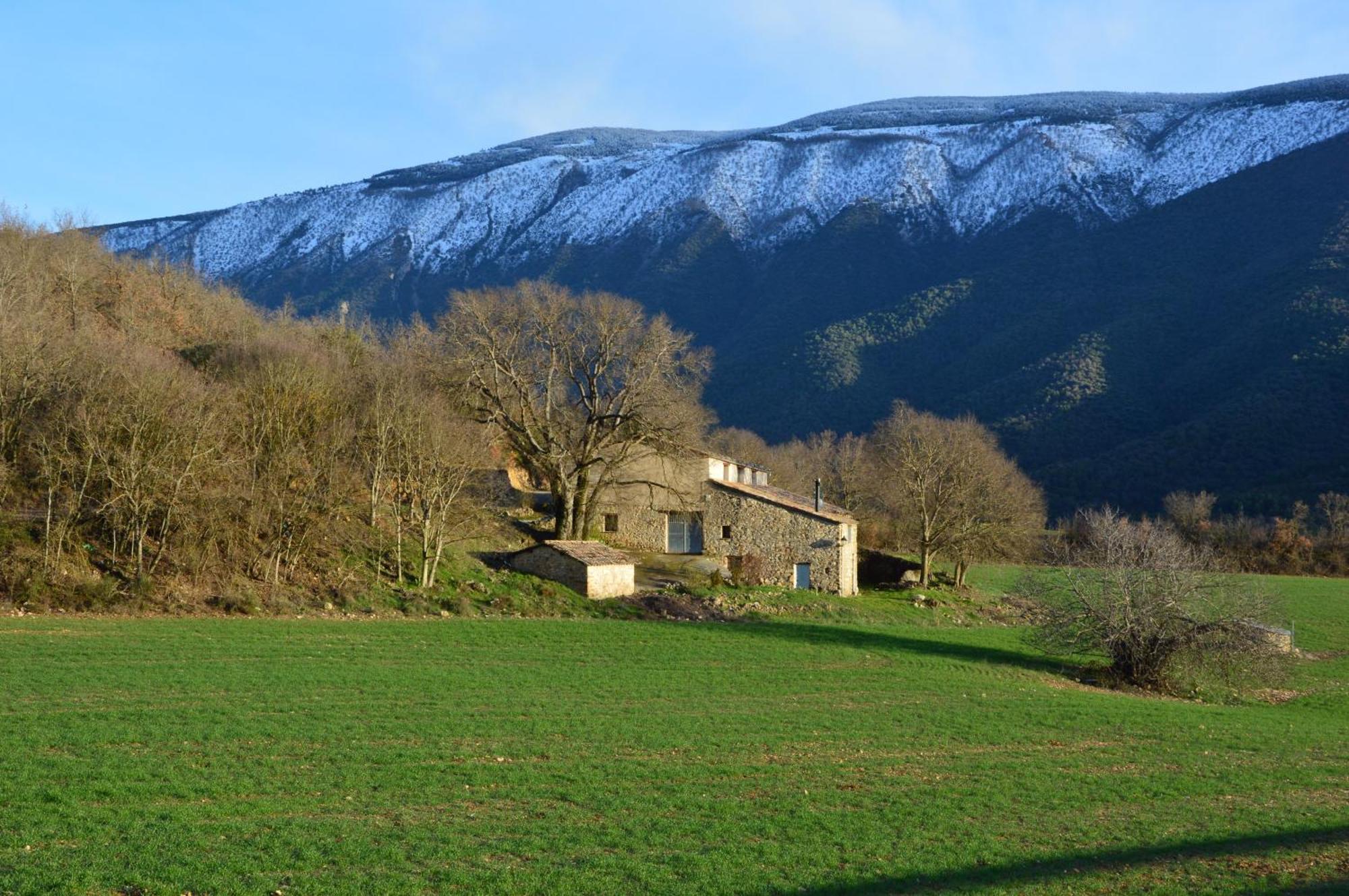 Mas De Bruquet Llimiana