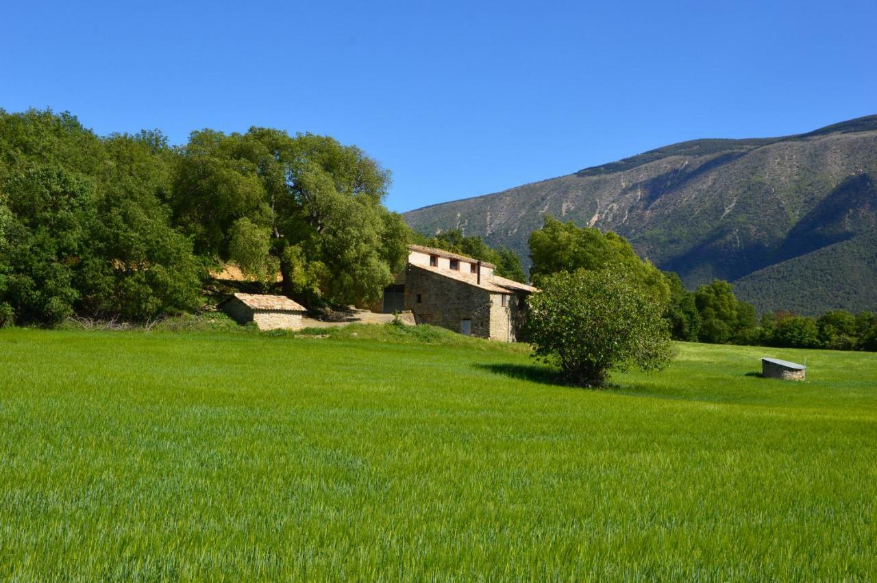 Mas De Bruquet Holiday home *